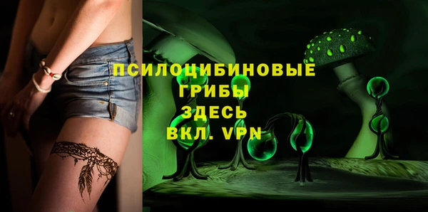 ГАЛЛЮЦИНОГЕННЫЕ ГРИБЫ Богданович