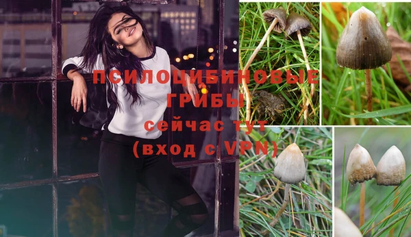 крисы Осинники