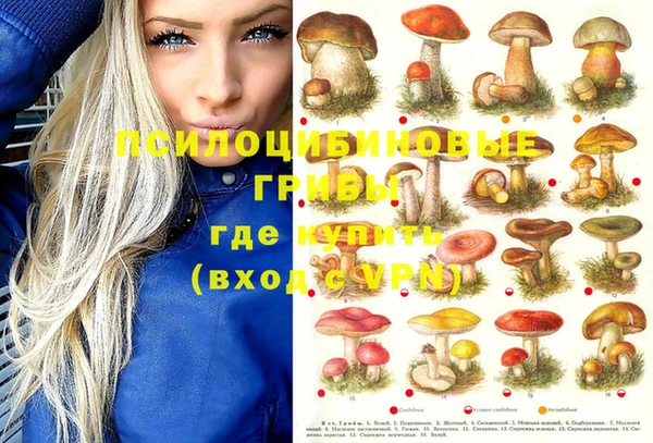 ГАЛЛЮЦИНОГЕННЫЕ ГРИБЫ Богданович