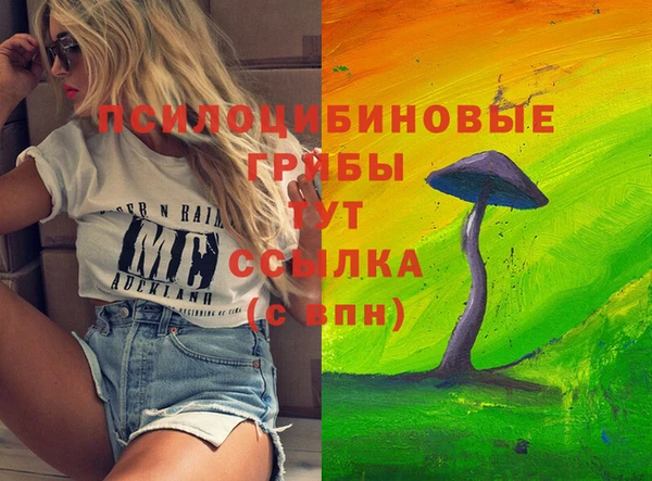 ГАЛЛЮЦИНОГЕННЫЕ ГРИБЫ Богданович