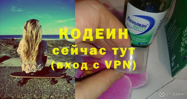 крисы Осинники