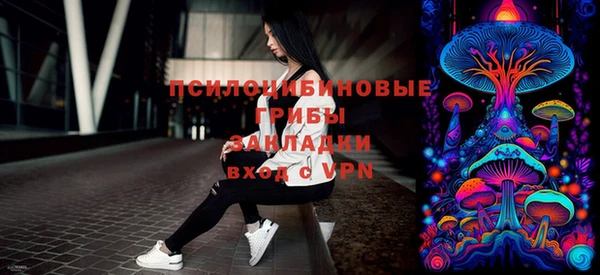 крисы Осинники