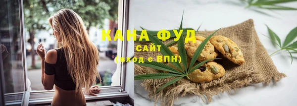 ГАЛЛЮЦИНОГЕННЫЕ ГРИБЫ Богданович