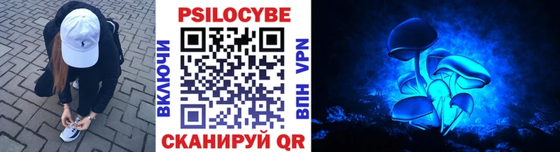 Псилоцибиновые грибы мицелий  магазин продажи наркотиков  Строитель 